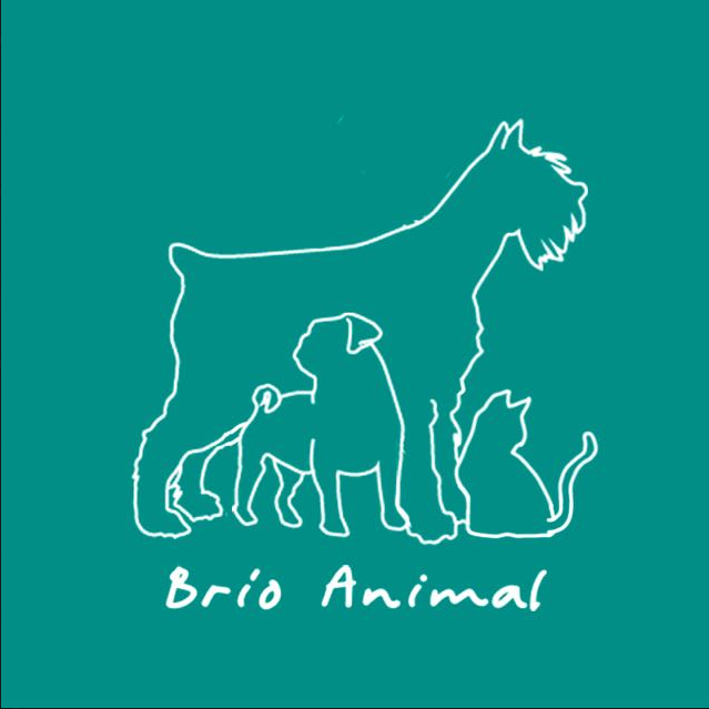 Brio Animal